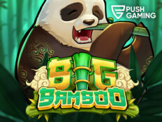 Online bingo casino app16